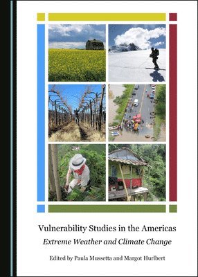 Margot Hurlbert, Paula Mussetta, Margot Hurlbert - Vulnerability Studies in the Americas, Inbunden
