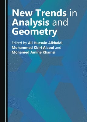 Mohamed A. Khamsi, Mohamed A. Khamsi - New Trends in Analysis and Geometry, Inbunden