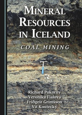 Richard Pokorný, Veronika Fialová, Friðgeir Grímsson - Mineral Resources in Iceland, Inbunden