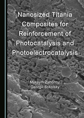 Nanosized Titania Composites for Reinforcement of Photocatalysis and Photoelectrocatalysis 1