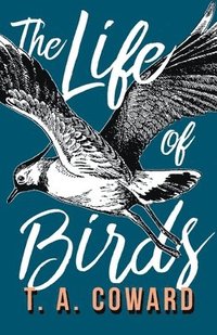 bokomslag The Life of Birds