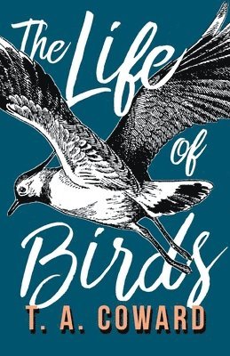 The Life of Birds 1