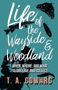 bokomslag Life of the Wayside and Woodland