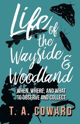 Life of the Wayside and Woodland 1