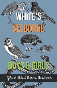 bokomslag White's Selborne for Boys and Girls