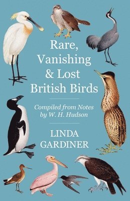 Rare, Vanishing and Lost British Birds