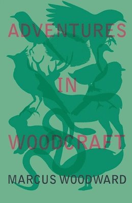 Marcus Woodward - Adventures in Woodcraft, Häftad