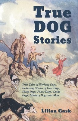 bokomslag True Dog Stories - True Tales of Working Dogs, Including Stories of Gun Dogs, Sheep Dogs, Police Dogs, Guide Dogs, Military Dogs and More