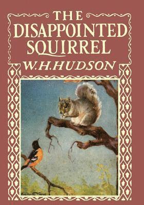 bokomslag Disappointed Squirrel - Illustrated by Marguerite Kirmse