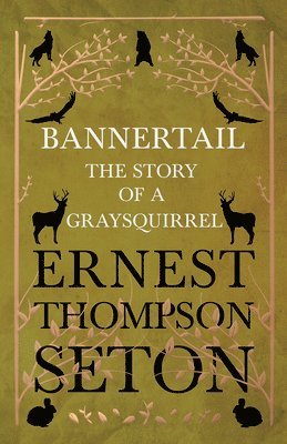 bokomslag Bannertail - The Story of a Gray Squirrel