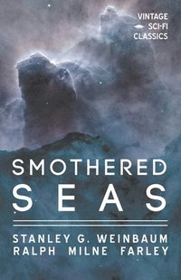 bokomslag Smothered Seas