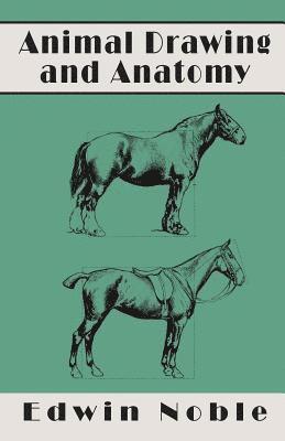 Edwin Noble - Animal Drawing and Anatomy, Häftad