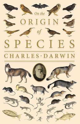 Charles Darwin - On the Origin of Species, Häftad