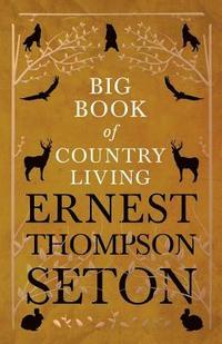 bokomslag Big Book of Country Living