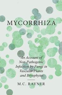 bokomslag Mycorrhiza - An Account of Non-Pathogenic Infection by Fungi in Vascular Plants and Bryophytes