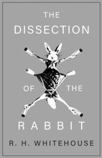 bokomslag The Dissection of the Rabbit