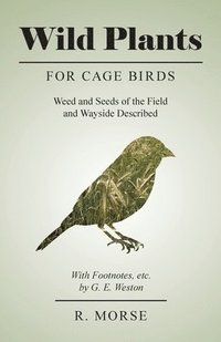 bokomslag Wild Plants for Cage Birds - Weed and Seeds of the Field and Wayside Described - With Footnotes, etc., by G. E. Weston