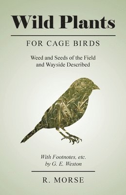 Wild Plants for Cage Birds - Weed and Seeds of the Field and Wayside Described - With Footnotes, etc., by G. E. Weston 1