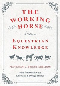 bokomslag The Working Horse - A Guide on Equestrian Knowledge with Information on Shire and Carriage Horses