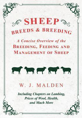 bokomslag Sheep Breeds and Breeding - A Concise Overview of the Breeding, Feeding and Management of Sheep, Including Chapters on Lambing, Prices of Wool, Health, and Much More