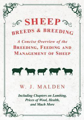 Sheep Breeds and Breeding - A Concise Overview of the Breeding, Feeding and Management of Sheep, Including Chapters on Lambing, Prices of Wool, Health, and Much More