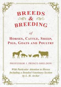 bokomslag Breeds and Breeding of Horses, Cattle, Sheep, Pigs, Goats and Poultry - With Particular Attention to Horses Including a Detailed Veterinary Section by L. H. Archer