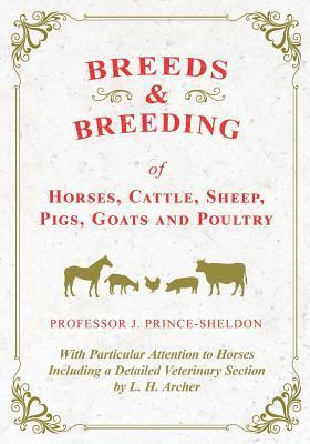 bokomslag Breeds and Breeding of Horses, Cattle, Sheep, Pigs, Goats and Poultry - With Particular Attention to Horses Including a Detailed Veterinary Section by L. H. Archer