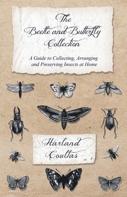 bokomslag The Beetle and Butterfly Collection - A Guide to Collecting, Arranging and Preserving Insects at Home