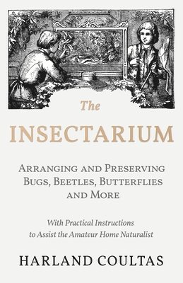 Insectarium - Collecting, Arranging and Preserving Bugs, Beetles, Butterflies and More - With Practical Instructions to Assist the Amateur Home Naturalist
