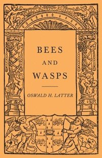 bokomslag Bees and Wasps