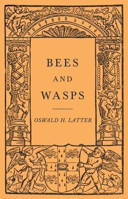 Bees and Wasps 1