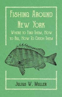 bokomslag Fishing Around New York - Where to Find Them, How to Rig, How To Catch Them