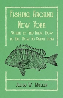Fishing Around New York - Where to Find Them, How to Rig, How To Catch Them 1