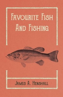 bokomslag Favourite Fish and Fishing