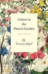 bokomslag Colour in the Flower Garden
