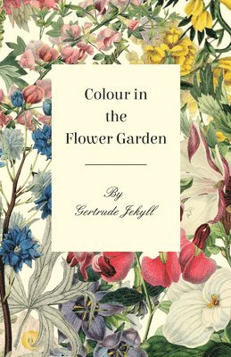 Colour in the Flower Garden 1