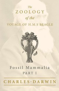 bokomslag Fossil Mammalia - Part I - The Zoology of the Voyage of H.M.S Beagle; Under the Command of Captain Fitzroy - During the Years 1832 to 1836