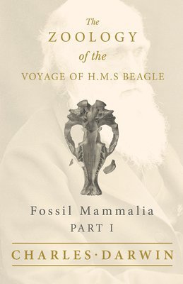Fossil Mammalia - Part I - The Zoology of the Voyage of H.M.S Beagle; Under the Command of Captain Fitzroy - During the Years 1832 to 1836 1