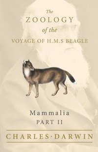 bokomslag Mammalia - Part II - The Zoology of the Voyage of H.M.S Beagle; Under the Command of Captain Fitzroy - During the Years 1832 to 1836