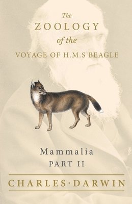 Mammalia - Part II - The Zoology of the Voyage of H.M.S Beagle; Under the Command of Captain Fitzroy - During the Years 1832 to 1836 1