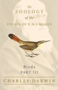 bokomslag Birds - Part III - The Zoology of the Voyage of H.M.S Beagle; Under the Command of Captain Fitzroy - During the Years 1832 to 1836