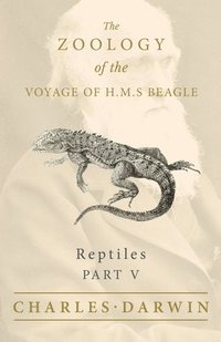 bokomslag Reptiles - Part V - The Zoology of the Voyage of H.M.S Beagle; Under the Command of Captain Fitzroy - During the Years 1832 to 1836