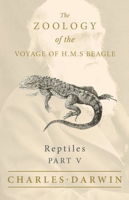 Reptiles - Part V - The Zoology of the Voyage of H.M.S Beagle; Under the Command of Captain Fitzroy - During the Years 1832 to 1836 1