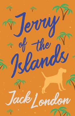 bokomslag Jerry of the Islands