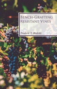 bokomslag Bench-Grafting Resistant Vines
