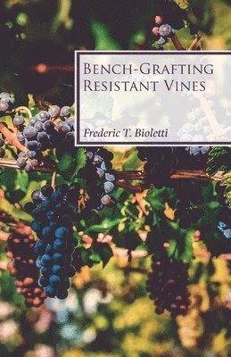 Frederic T Bioletti, Frederic T. Bioletti - Bench-Grafting Resistant Vines, Häftad