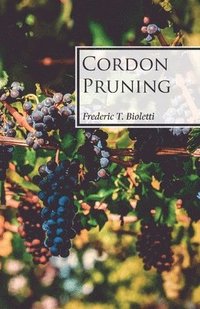 bokomslag Cordon Pruning