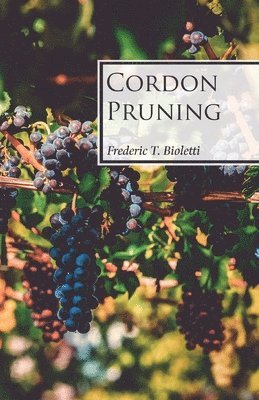 Cordon Pruning 1