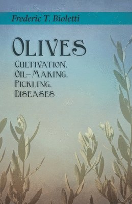 Olives - Cultivation, Oil-Making, Pickling, Diseases 1