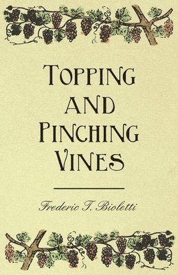 Topping and Pinching Vines 1